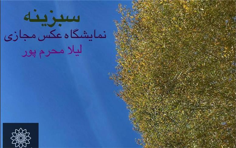 «سبزینه» نخستین نمایشگاه انفرادی عکس لیلا محرم پور برگزار می شود